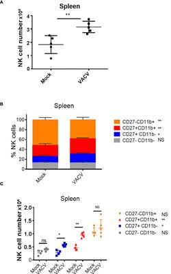 Transcriptional reprogramming of natural killer cells by vaccinia virus shows both distinct and conserved features with mCMV
